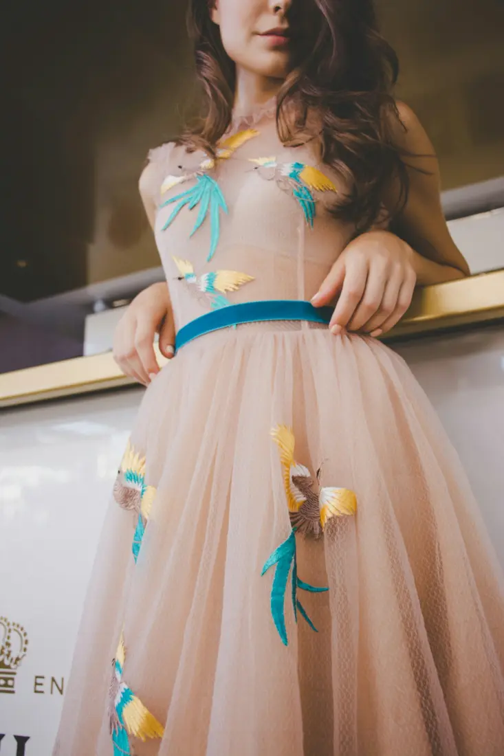 Hands smoothing a blush tulle dress with embroidered birds