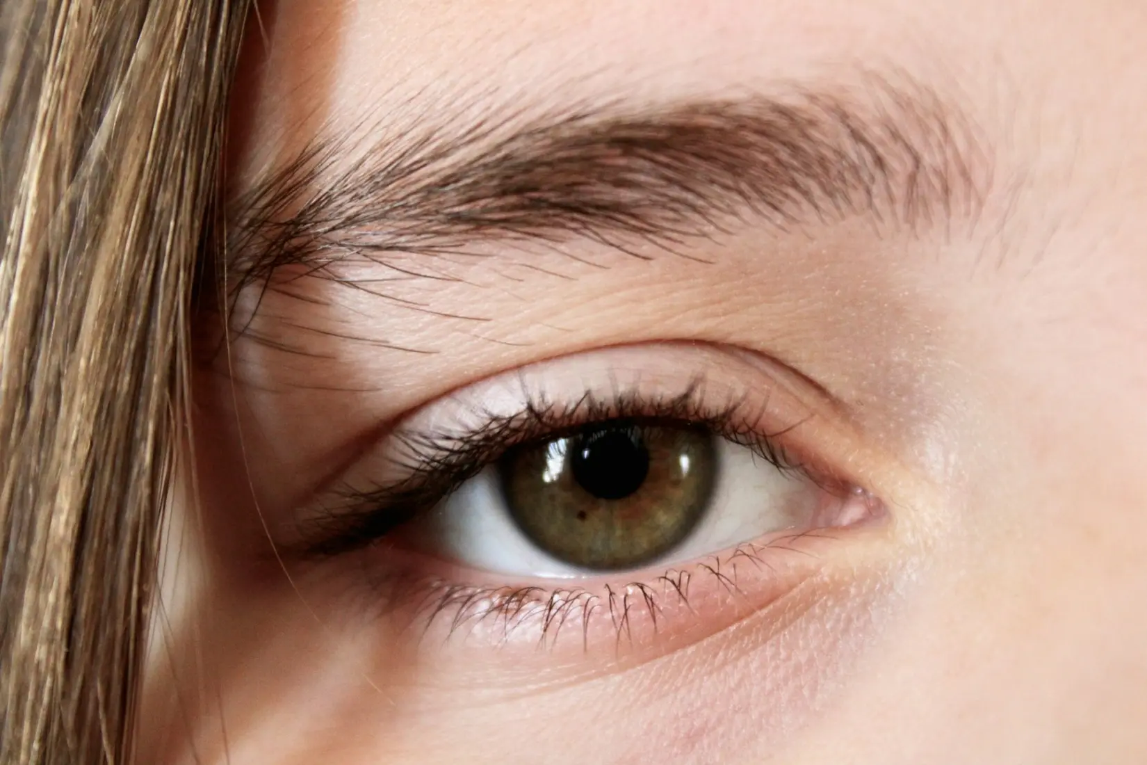 Close-up of a hazel eye and a full, brushed-up eyebrow